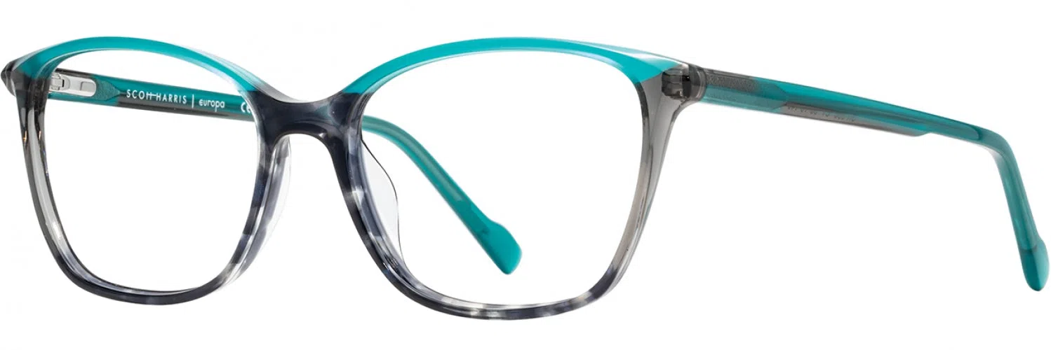 Scott Harris SH996 Eyeglasses - view 12